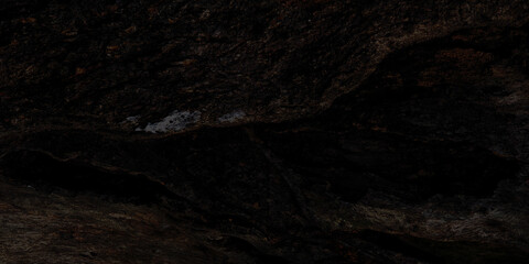 Dark wood texture with details of ancient bark, suitable for backgrounds, illustrations, or natural and vintage designs.