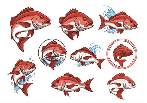 collection Red snapper logo set bundle, vector illustration, isolated on white background