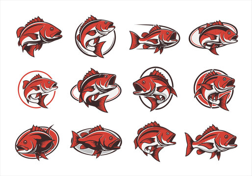 collection Red snapper logo set bundle, vector illustration, isolated on white background