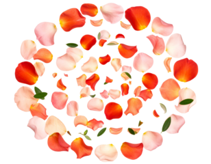 Floating Linaria Petals in Abstract Spiral, Soft Gradient Colors and Leaf Accents