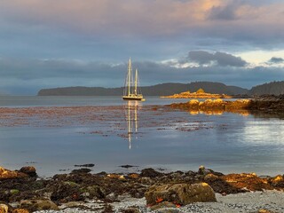 Sail boat in a quiet harbour at sunset. Pacific Rim National park. Vancouver Island. Tofino. British Columbia. Canada