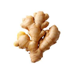A whole fresh ginger root with a textured brown skin and light yellow flesh isolated on transparent background