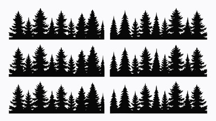 Fototapeta premium Black pine forest silhouettes trees