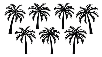 Black silhouette palm trees tropical nature
