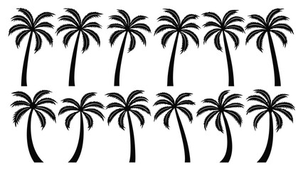 Fototapeta premium Black silhouette palm trees tropical nature
