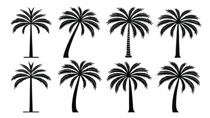 Eight distinct black silhouette palm trees tropical