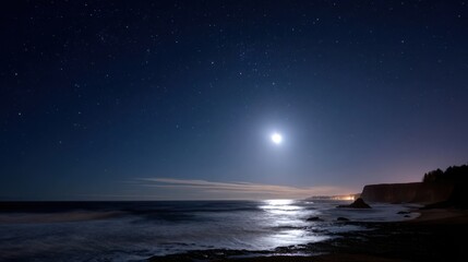 Moonlit Coastline with Stars and Calm Waters