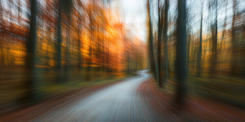 Autumn forest path with blurred right side for copy or logo.