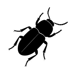 Bark beetle silhouette victor style 