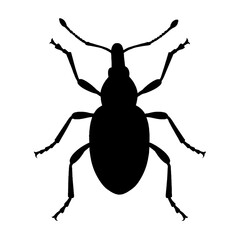 Yellow jacket silhouette illustration vector style 