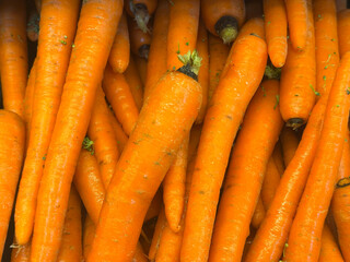 bunch of carrots on the market.