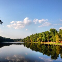 summer landscape with lake