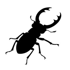 stag beetle isolated on white background silhouette vector style 