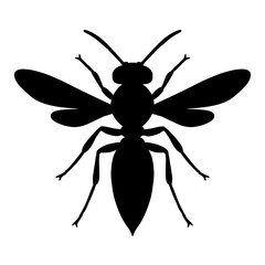 Wasp silhouette victor style whit white background 