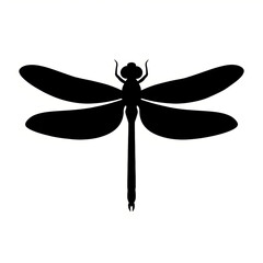 dragonfly on white background silhouette vector style 
