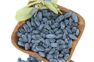 Borealis Honeyberry Haskap berries isolated on white background