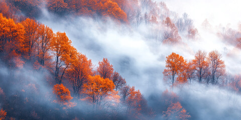 Fototapeta premium Rolling fog over a forest with a blurred section on the left.