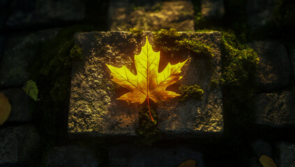 Illuminated by dramatic backlighting, a bright golden maple leaf glows in the center of a decaying ancient stone brick covered in green moss.