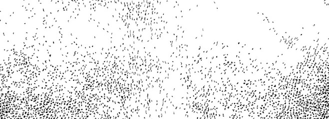 Grunge grain texture. Black and white distressed noise dots background. Irregular gritty wallpaper. Dirty grit specks overlay. Gravel particles backdrop for banner, poster, brochure. Vector