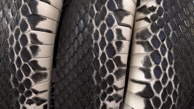 Snake Skin Knot Background