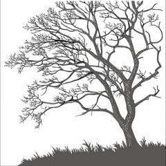 Stylized bare tree with intricate branches reaching outwards against a white background with grass
