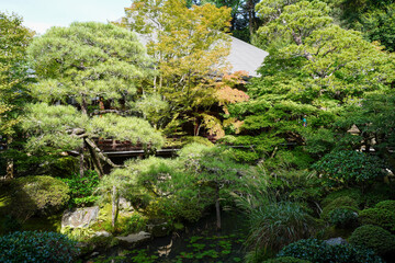 永観堂禅林寺の初秋の庭園の風景
