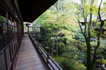 永観堂禅林寺の初秋の庭園の風景