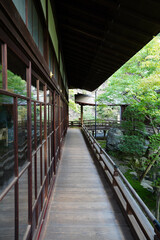 永観堂禅林寺の初秋の庭園の風景