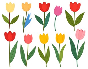 Fototapeta premium Collection of colorful tulips