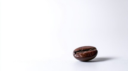 Close-up of a single coffee bean.