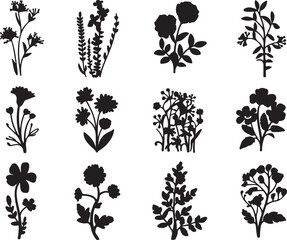 Fototapeta premium Black floral silhouettes on white background botanical plants