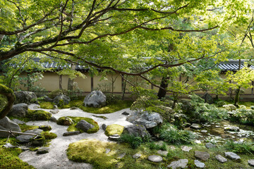 永観堂禅林寺の初秋の庭園の風景