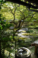 永観堂禅林寺の初秋の庭園の風景