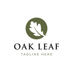 Autumn oak leaf logo design and oak tree logo. With easy and simple vector illustration editing.