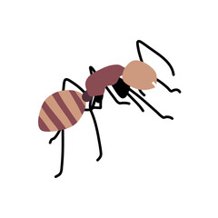 Cartoon ant vector illustration. Cute nature insect.