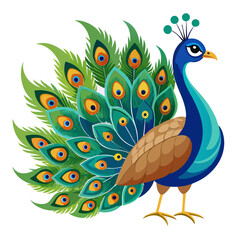 Beautifully illustrated peacock with fanned tail feathers showcasing vibrant eye patterns