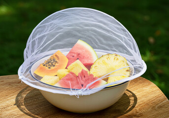 Fruit Bowl Covered from Mosquitoes Netting. Tropical Fruit Protection Outdoors. World Mosquito Day