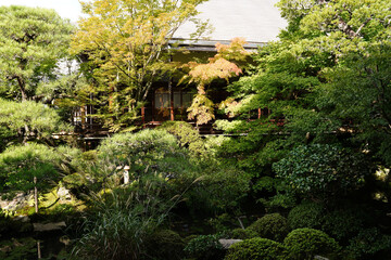永観堂禅林寺の初秋の庭園の風景