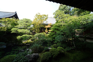 永観堂禅林寺の初秋の庭園の風景