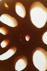 Abstract Close-up of Lotus Root Slices, Textured Background with Holes and Light, Close up shot of a Lotus Root Slices in the shape of a heart