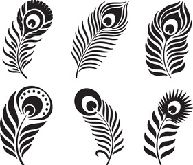 Obraz premium Black peacock feather designs white decorative