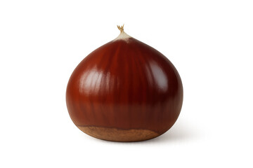 Ripe, glossy chestnut presented on a transparent background, ideal for food-related projects and designs