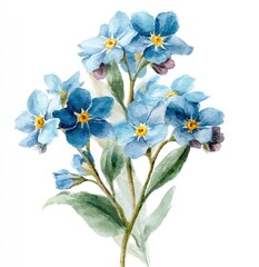Naklejka premium Watercolor Forget-Me-Nots