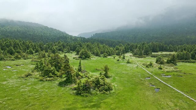 谷地平湿原とワタスゲの群生②　ドローン　日本の山　福島県