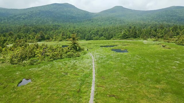 谷地平湿原とワタスゲの群生③　ドローン　日本の山　福島県