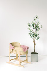 Blank White Wall Space Studio Baby Girl Basket Bassinet Olive Tree