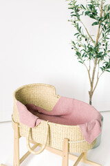 Blank White Wall Space Studio Baby Girl Basket Bassinet Olive Tree