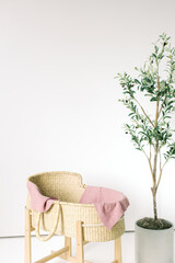 Blank White Wall Space Studio Baby Girl Basket Bassinet Olive Tree
