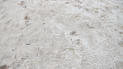 clean and beautiful beach sand background
