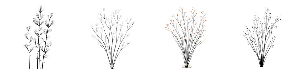 Obraz premium Bare Tree Branch Collection: Winter Silhouette of Deciduous Trees